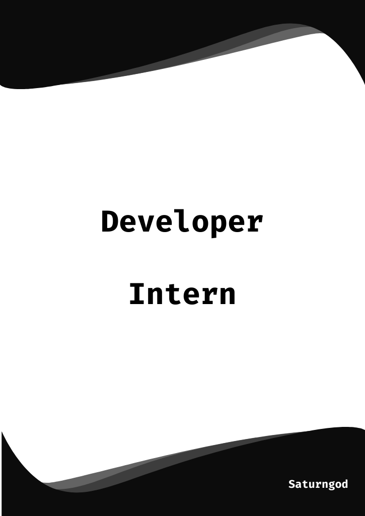 Developer Intern book cover